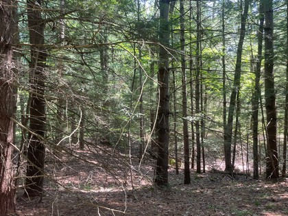 NY building lot land for sale