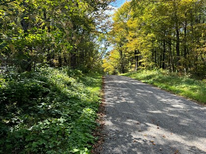 NY hunting camp for sale