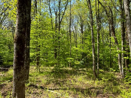 NY land and camps for sale