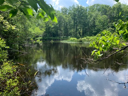 ny land sale florence NY