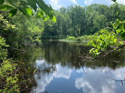 ny land sale florence NY