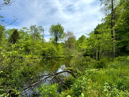 NY waterfront land for sale