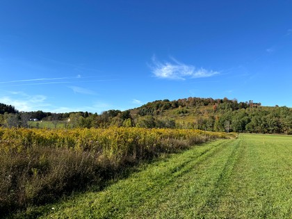 NY Southern Tier land for sale