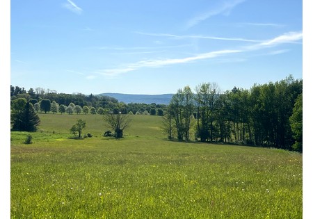 NY Southern tier NY hunting land for sale