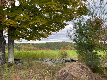 NY land for sale Catskills area