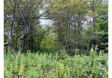 NY land for sale