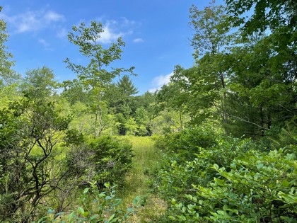 Building lot for home site or camp site in Vienna, NY