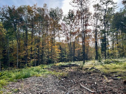 NY hunting land for sale