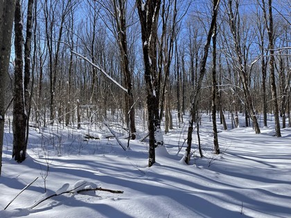 Osceola Bolinger Lot 1 11250775 near syracuse ny image of outside land property ny land for sale