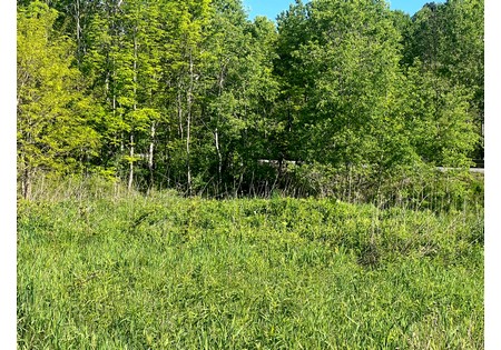NY Southern Tier land for sale