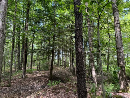 NY camps for sale