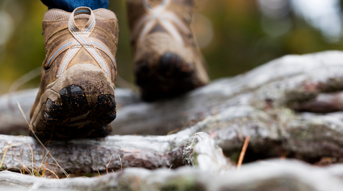 remember your passion of hiking in ny state