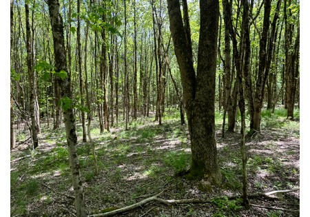 Land for sale near Oneida Lake NY