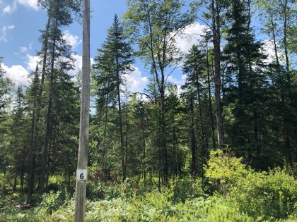 Adirondack land for sale in forestport, ny