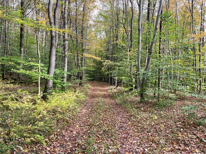 NY land sale near Oneida Lake