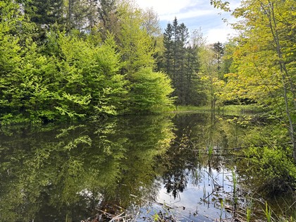 NY land and camps for sale