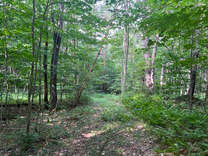 NY Southern tier land for sale