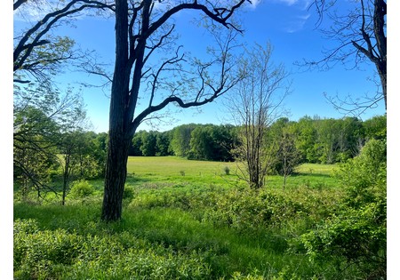 NY southern tier hunting land for sale