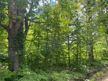 NY Adirondack hunting land for sale