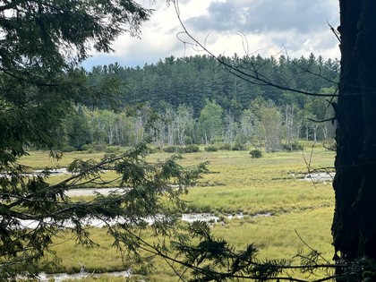 Adirondack land and waterfront for sale