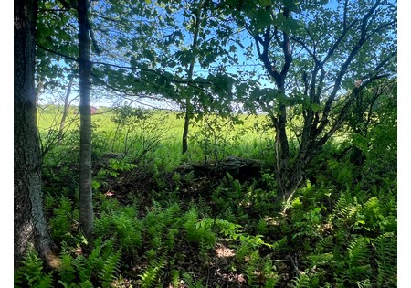NY Southern Tier land for sale