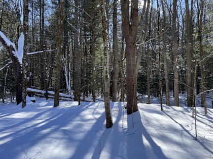 NY land for sale