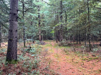 Adirondack land for sale NY