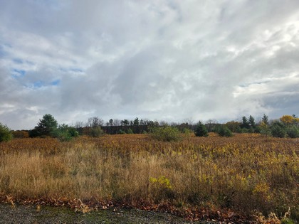 land for sale NY