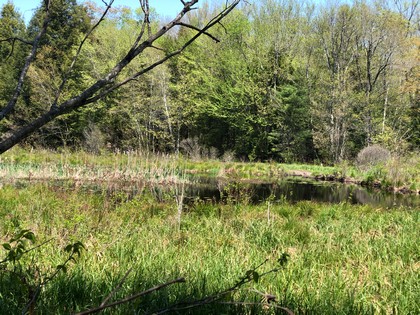 NY waterfront land for sale in Amboy NY