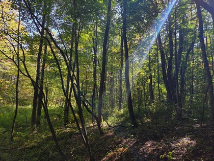 Adirondack NY land for sale