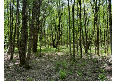 Land for sale near Oneida Lake NY