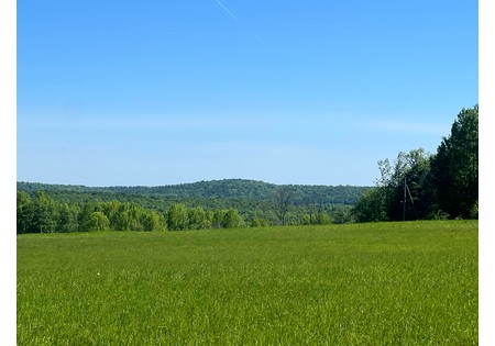NY Southern Tier land for sale