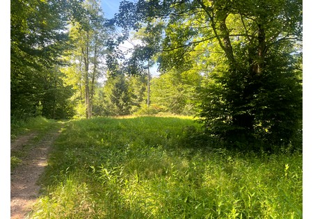 NY hunting land for sale