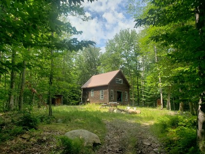 Adirondack waterfront for sale