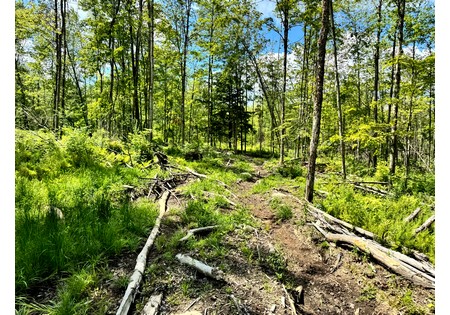 NY land for sale