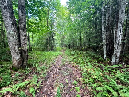 Adirondack riverfront land for sale