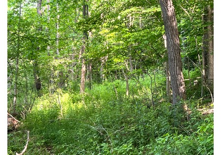 Southern Tier NY land for sale 