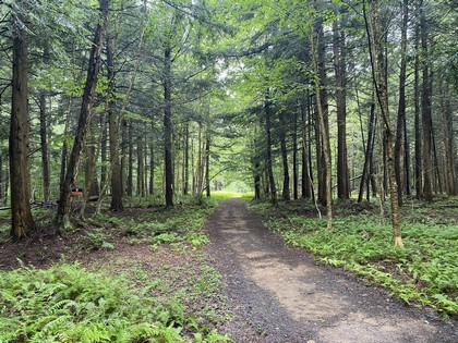 Adirondack camp for sale, cabins, land and camps, ny properties, ny camps sale, Adirondack camps for sale, christmas associates