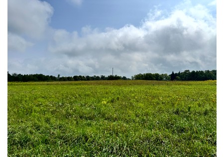 Finger Lakes area NY land for sale