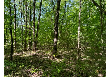 Northern NY land for sale