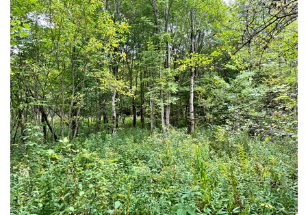 NY hunting land for sale