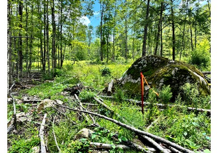 NY land for sale