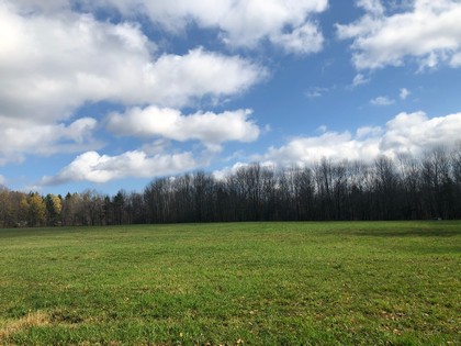 NY land for sale in Pharsalia NY