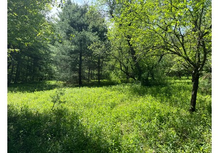 NY land for sale near Oneida Lake