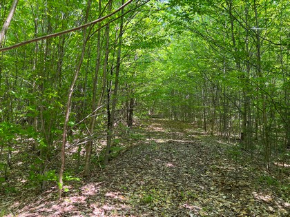 Adirondack land for sale