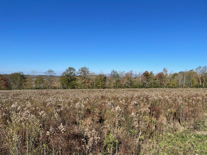 NY hunting land for sale - southern tier