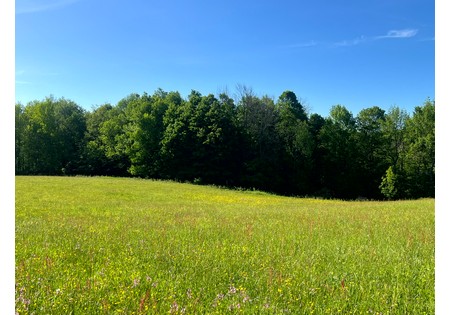 NY Southern Tier hunting land for sale