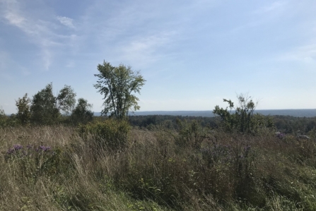 hunting land for sale in florence ny sunset views from land and camps