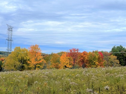 NY land for sale Catskills area