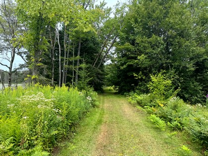 NY log cabin for sale